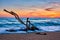 ld wood trunk snag in water at beach on beautiful sunset