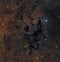 LDN 673 Dark Nebula