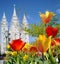 LDS temple salt lake city