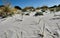Le Dune beach near Capo Comino, Siniscola, Nuoro