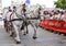 LE MANS, FRANCE - JUNE 13, 2014: Two white horses with riders at a Parade of pilots racing