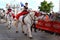 LE MANS, FRANCE - JUNE 13, 2014:White horse with rider.Parade of pilots racing