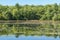 Leach pond in Borderland State Park