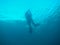 Lead diver surfaces Mine Pits MN