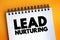 Lead Nurturing - process of developing and reinforcing relationships with buyers at every stage of the sales funnel, text concept