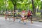 Leader group of participants running on a Dmytra Yavornitskoho Avenue during of the Interipe  Dnipro Half Marathon race