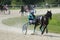 Leader during harness racing