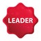 Leader misty rose red starburst sticker button