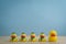 Leadership concept yellow rubber duck leading group