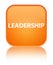 Leadership special orange square button