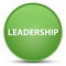 Leadership special soft green round button