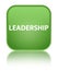 Leadership special soft green square button