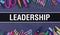 Leadership text written on Education background of Back to School concept. Leadership concept banner on Education sketch with