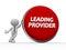 Leading provider