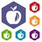 Leaf apple icons vector hexahedron