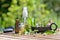 Leaf of aromatic plant and  bottles of essential oil  in a garden