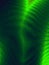 Leaf background abstract depth green pattern