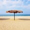 Leaf beach umbrella on sandy beach