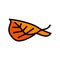 leaf birch autumn color icon vector illustration