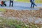 Leaf blower work in blowing fallen leaves a pile