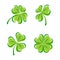 Leaf clover set. Vector