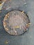 leaf covered manhole