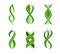 Leaf DNA plant icon, science, health, genetics