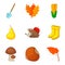 Leaf fall icons set, cartoon style