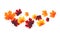 Leaf fall. Vector maple leaves flying in the wind. Horizontal line of red and yellow leaves.