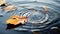 A leaf floating on top of a body of water, Autumn leaves floating on the water surface