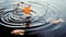 A leaf floating on top of a body of water, Autumn leaves floating on the water surface