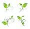 Leaf Floral Decoration Set