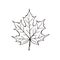 Leaf icon isolated