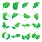 Leaf icons. Vector illustration