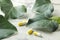 A leaf of ivy and pills on a light concrete table. Production of cough medicine with ivy extract. pharmaceutical industry