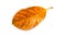 Leaf of jackfruit