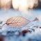 A leaf laying on the ground with snow and ice, AI