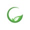 Leaf logo / icon