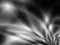 Leaf metal fantasy abstract art wallpaper