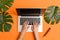 leaf office orange laptop background hand palm keyboard computer business marketing. Generative AI.