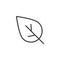 Leaf outline icon