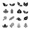 Leaf ,Plant, Herb , vegetarian, icon set