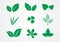 Leaf and plant icon vector