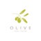 leaf plant logo and natural olive fruit .Herbal,olive oil,cosmetics or beauty,business,cosmetology,agriculture,ecology concept,spa