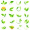 Leaf plant logo wellness nature ecology symbol vector icon design.