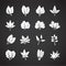 Leaf related icons set on background for graphic and web design. Creative illustration concept symbol for web or mobile