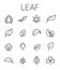 Leaf related vector icon set.