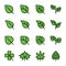 Leaf Related Vector Icons