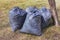 Leaf removal. Black plastic bags with last year\'s dry leaves on the lawn in the park