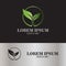 Leaf seed logo